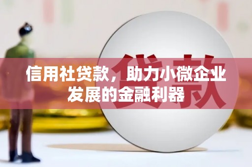 丽水信用社贷款，助力小微企业发展的金融利器
