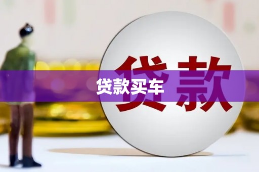 丽水贷款买车