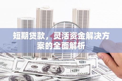 丽水短期贷款，灵活资金解决方案的全面解析