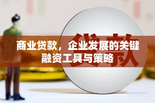 丽水商业贷款，企业发展的关键融资工具与策略