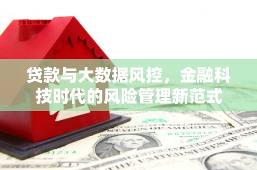 丽水贷款与大数据风控，金融科技时代的风险管理新范式