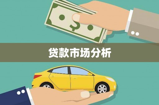 丽水贷款市场分析
