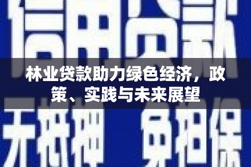 丽水林业贷款助力绿色经济，政策、实践与未来展望