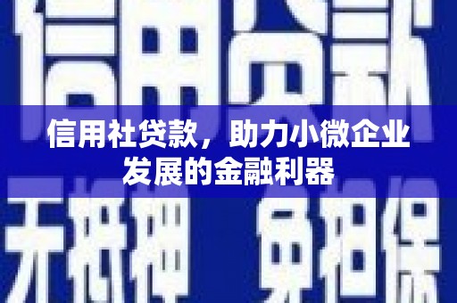 丽水信用社贷款，助力小微企业发展的金融利器