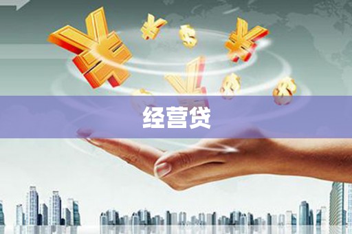 丽水经营贷