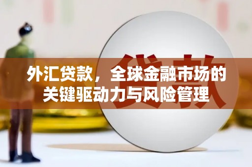 丽水外汇贷款，全球金融市场的关键驱动力与风险管理