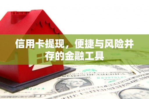丽水信用卡提现，便捷与风险并存的金融工具