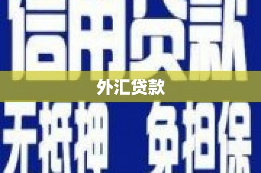 丽水外汇贷款