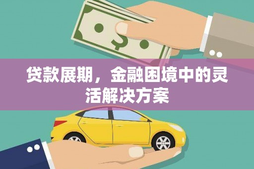 丽水贷款展期，金融困境中的灵活解决方案