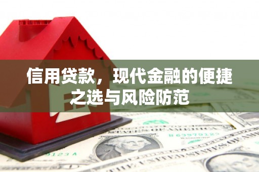 丽水信用贷款，现代金融的便捷之选与风险防范