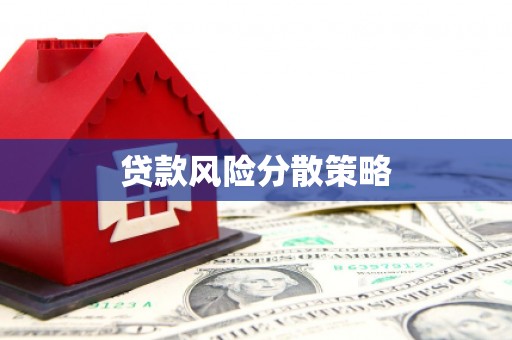 丽水贷款风险分散策略