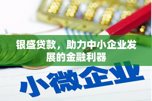 丽水银盛贷款，助力中小企业发展的金融利器