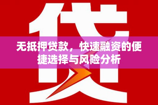 丽水无抵押贷款，快速融资的便捷选择与风险分析