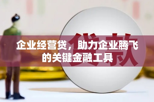 丽水企业经营贷，助力企业腾飞的关键金融工具