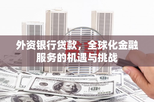 丽水外资银行贷款，全球化金融服务的机遇与挑战