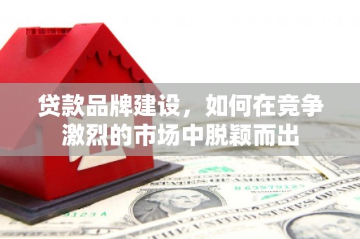 丽水贷款品牌建设，如何在竞争激烈的市场中脱颖而出