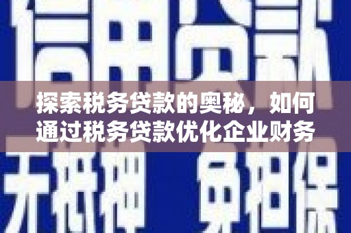 丽水探索税务贷款的奥秘，如何通过税务贷款优化企业财务