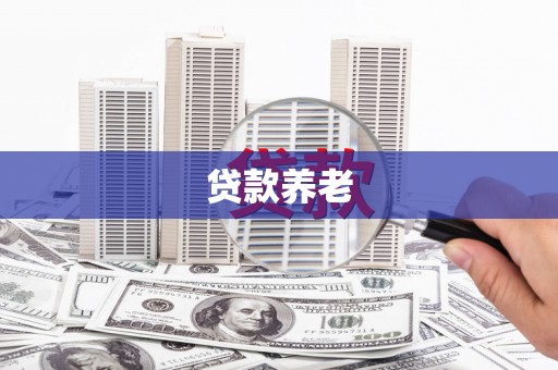 丽水贷款养老