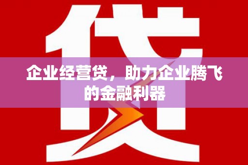 丽水企业经营贷，助力企业腾飞的金融利器