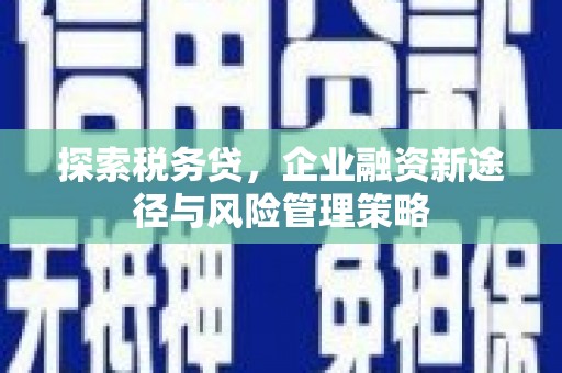 丽水探索税务贷，企业融资新途径与风险管理策略