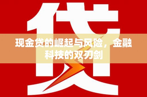 丽水现金贷的崛起与风险，金融科技的双刃剑