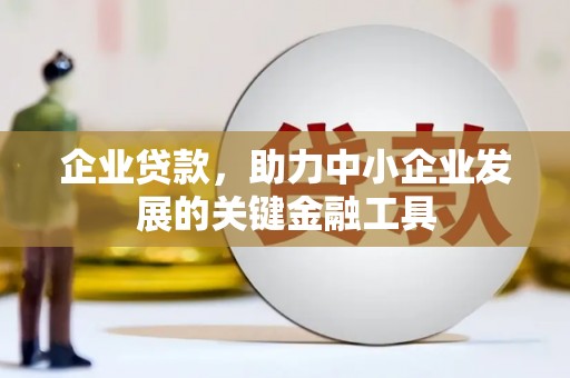 丽水企业贷款，助力中小企业发展的关键金融工具