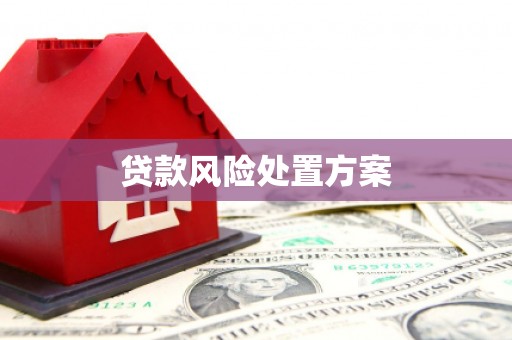 丽水贷款风险处置方案