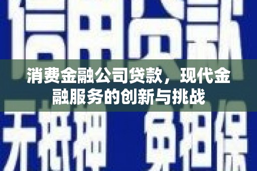 丽水消费金融公司贷款，现代金融服务的创新与挑战