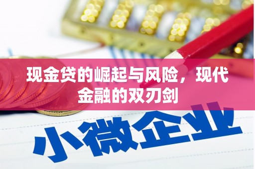 丽水现金贷的崛起与风险，现代金融的双刃剑