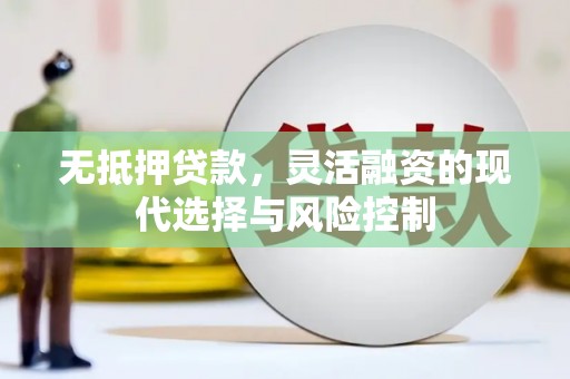 丽水无抵押贷款，灵活融资的现代选择与风险控制