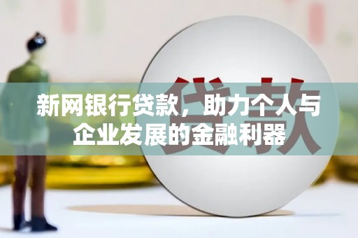 丽水新网银行贷款，助力个人与企业发展的金融利器
