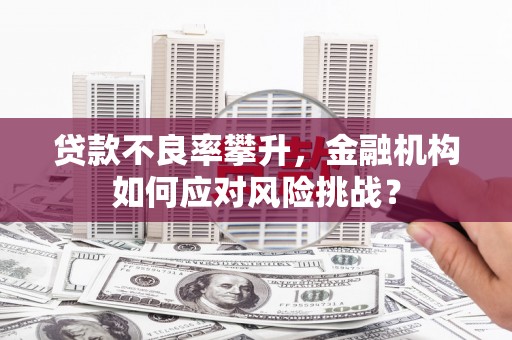 丽水贷款不良率攀升，金融机构如何应对风险挑战？