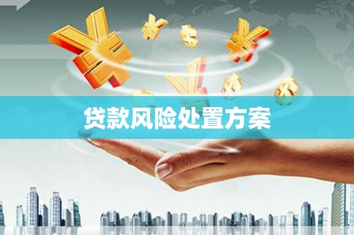 丽水贷款风险处置方案