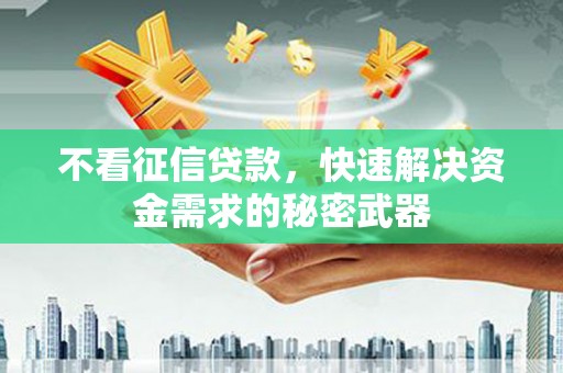 丽水不看征信贷款，快速解决资金需求的秘密武器