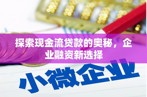 丽水探索现金流贷款的奥秘，企业融资新选择