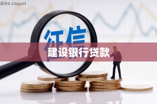 丽水建设银行贷款