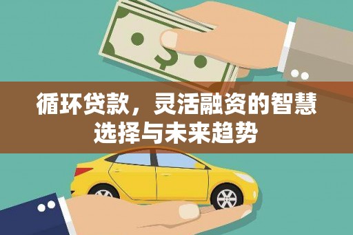 丽水循环贷款，灵活融资的智慧选择与未来趋势