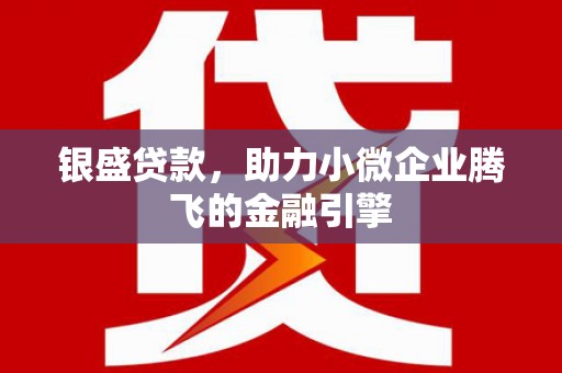 丽水银盛贷款，助力小微企业腾飞的金融引擎