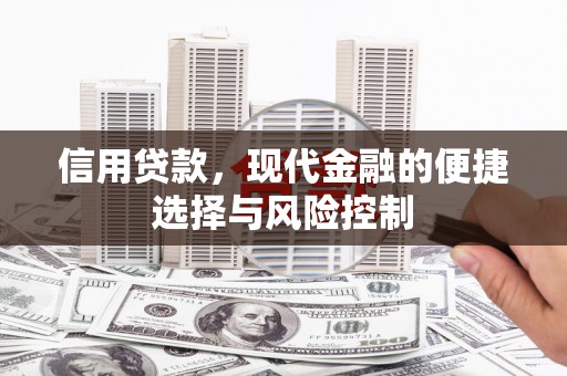 丽水信用贷款，现代金融的便捷选择与风险控制