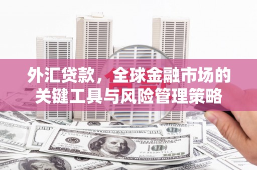 丽水外汇贷款，全球金融市场的关键工具与风险管理策略