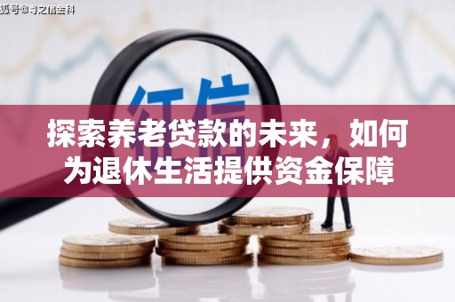 丽水探索养老贷款的未来，如何为退休生活提供资金保障