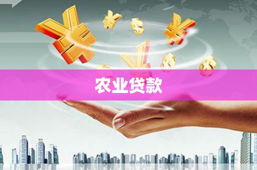 丽水农业贷款