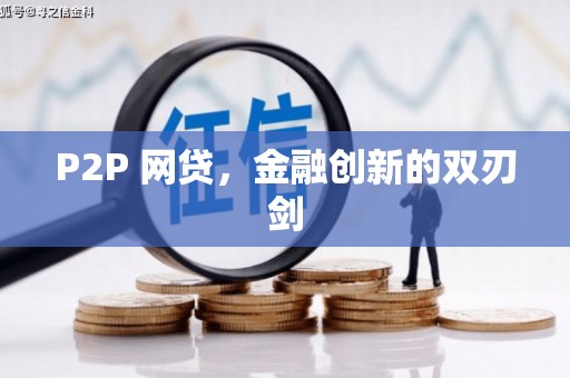 丽水P2P 网贷，金融创新的双刃剑