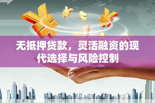 丽水无抵押贷款，灵活融资的现代选择与风险控制