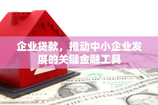 丽水企业贷款，推动中小企业发展的关键金融工具