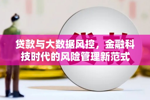丽水贷款与大数据风控，金融科技时代的风险管理新范式