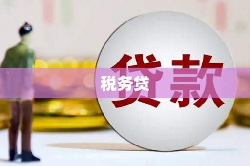 丽水税务贷