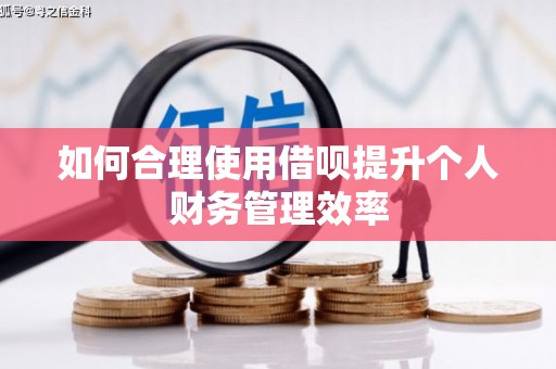 丽水如何合理使用借呗提升个人财务管理效率