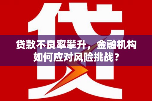丽水贷款不良率攀升，金融机构如何应对风险挑战？