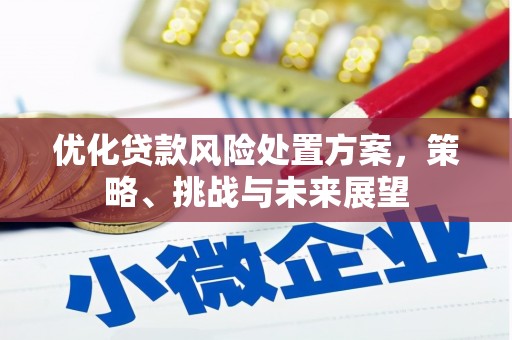 丽水优化贷款风险处置方案，策略、挑战与未来展望